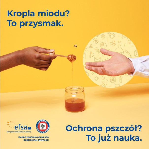 Kropla miodu? To przysmak. Ochrona pszczół? To już nauka