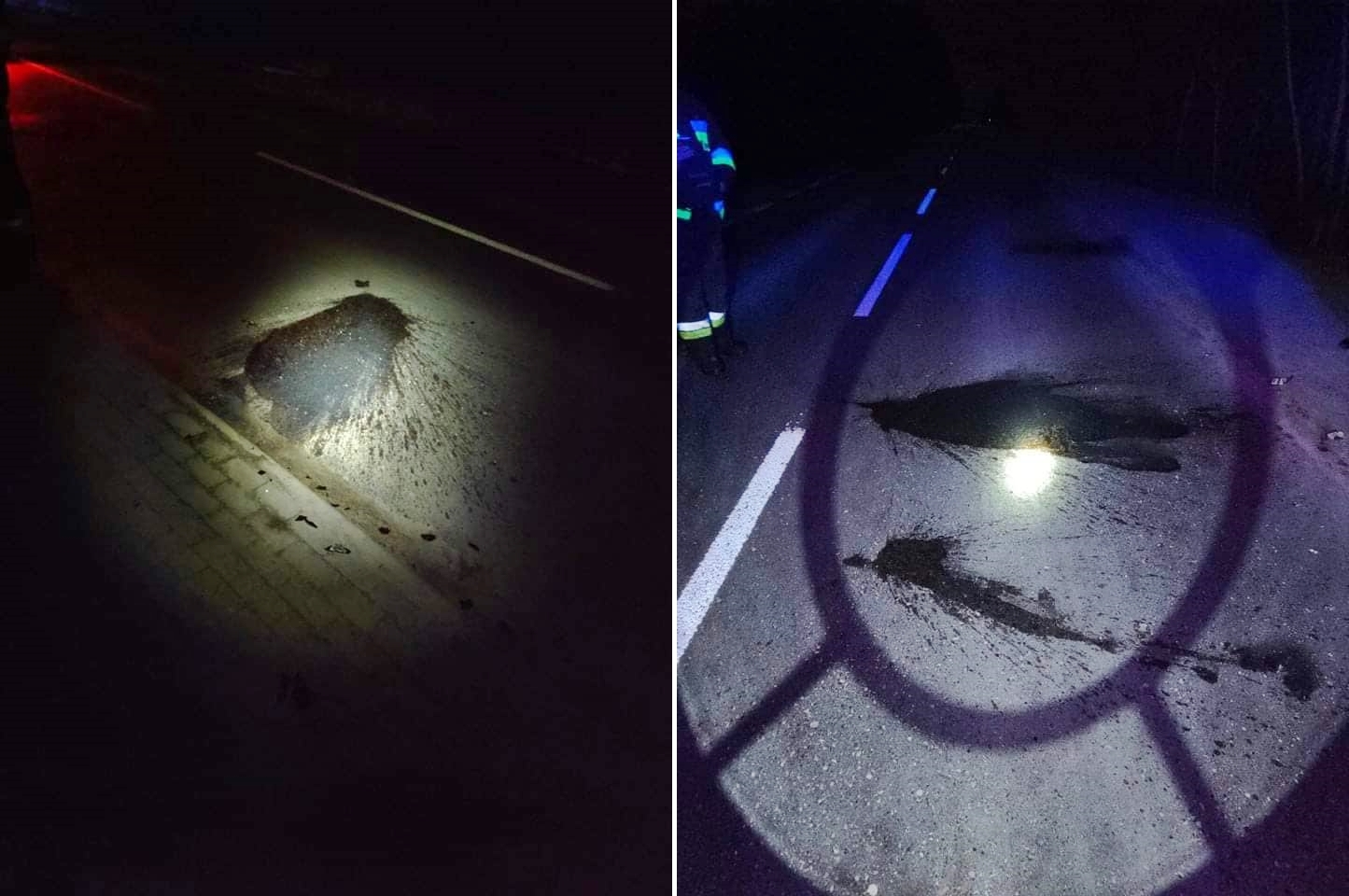 Z relacji naocznego świadka wynikało, że ktoś celowo rozbił butelkę z zawartością łatwopalnego środka i podpalił. Spłoszeni sprawcy uciekli samochodem. Pożar zgasł jeszcze przed przybyciem zastępów ratowniczych. Sprawę przekazano przybyłemu na miejsce patrolowi Policji. 