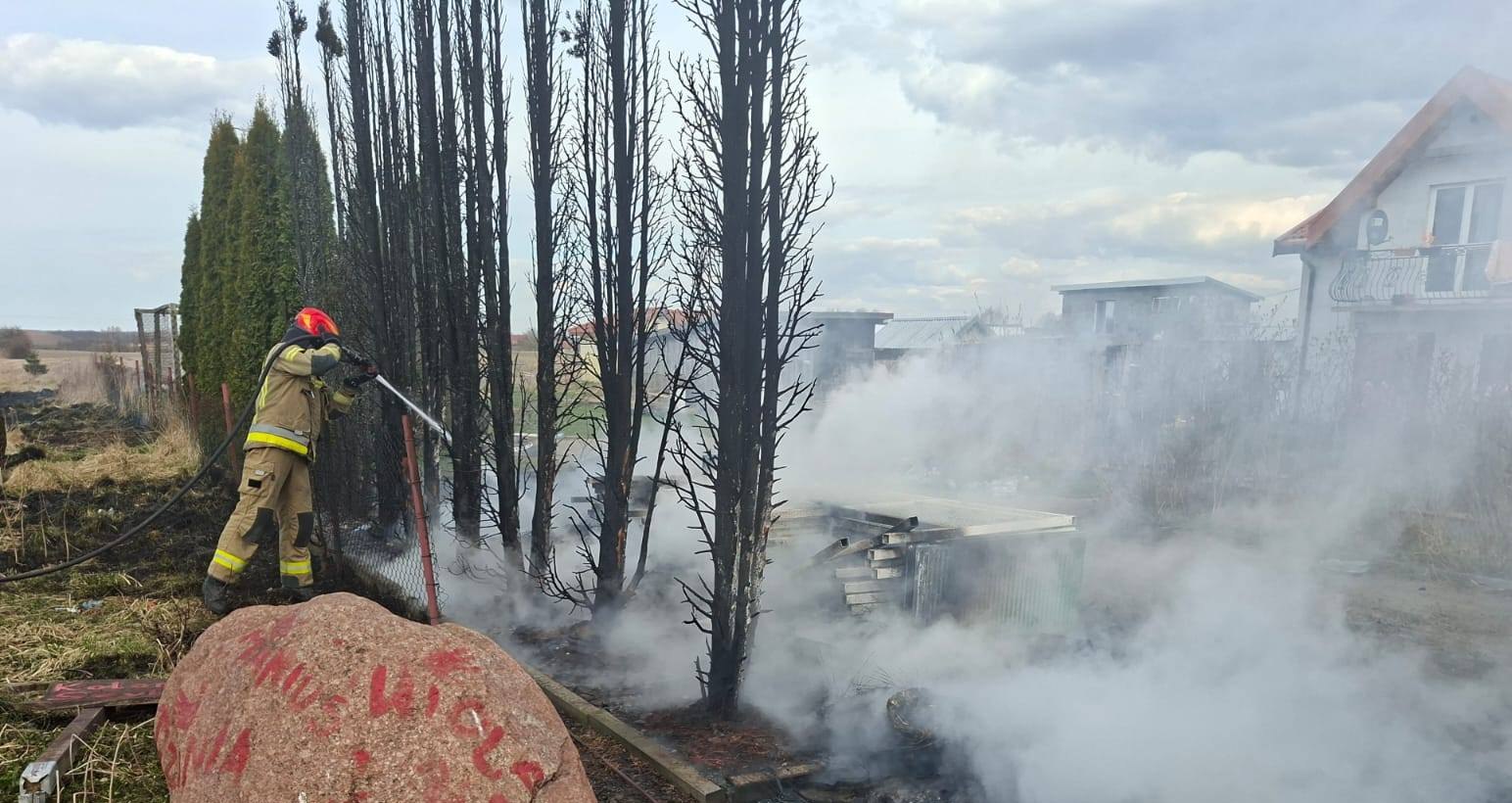 Chwila nieuwagi – gm. Braniewo