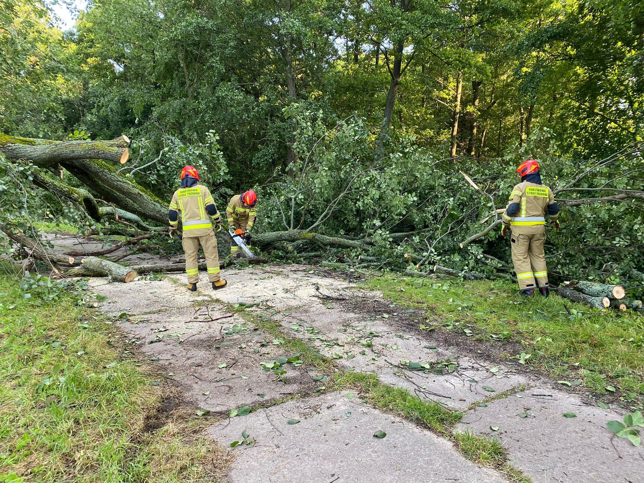 Silny wiatr – Braniewo 