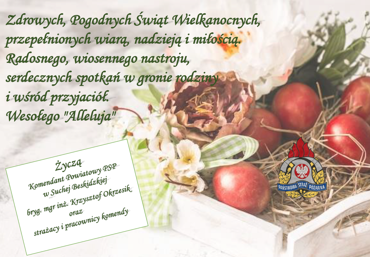 Zdrowych, Pogodnych Świąt Wielkanocnych, przepełnionych wiarą, nadzieją i miłością. Radosnego, wiosennego nastroju, serdecznych spotkań w gronie rodziny i wśród przyjaciół Wesołego "Alleluja"