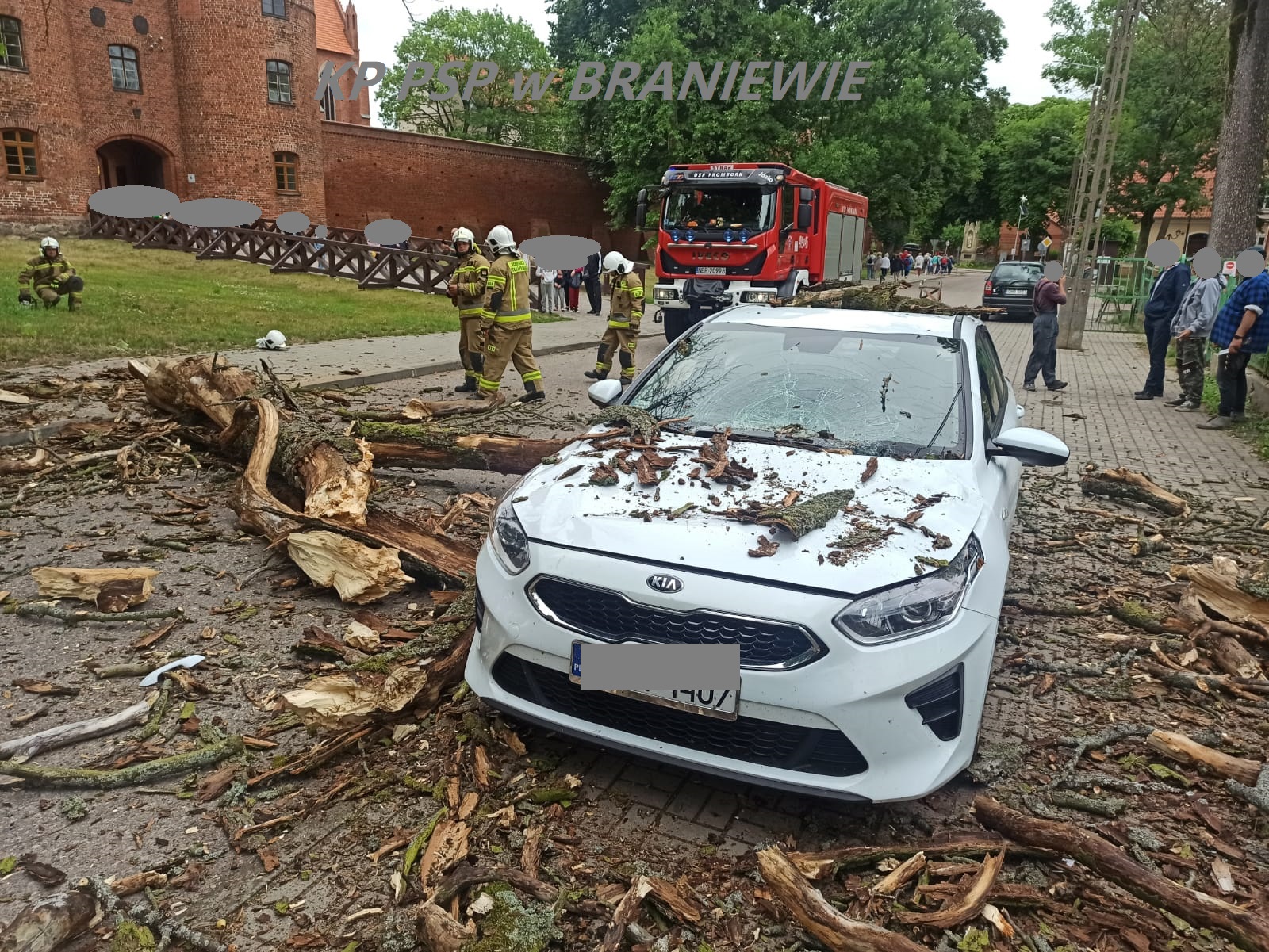 Konar spadł na samochód – Frombork 