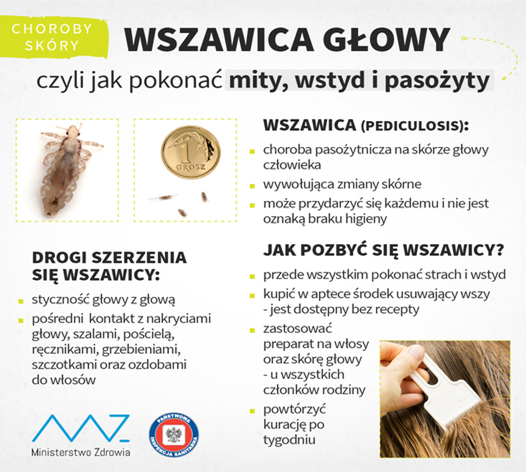 wszawica głowy