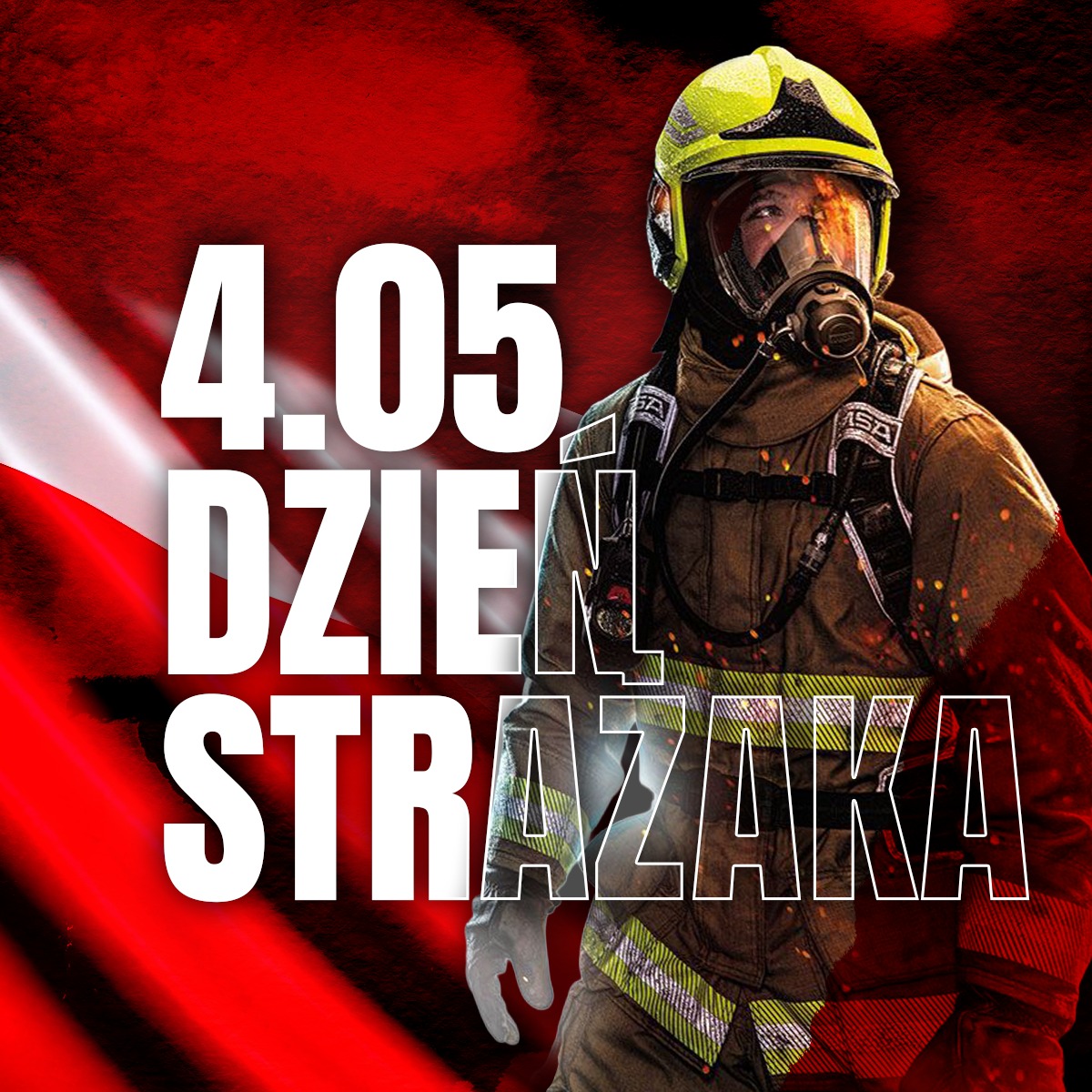 brak zdjęcia