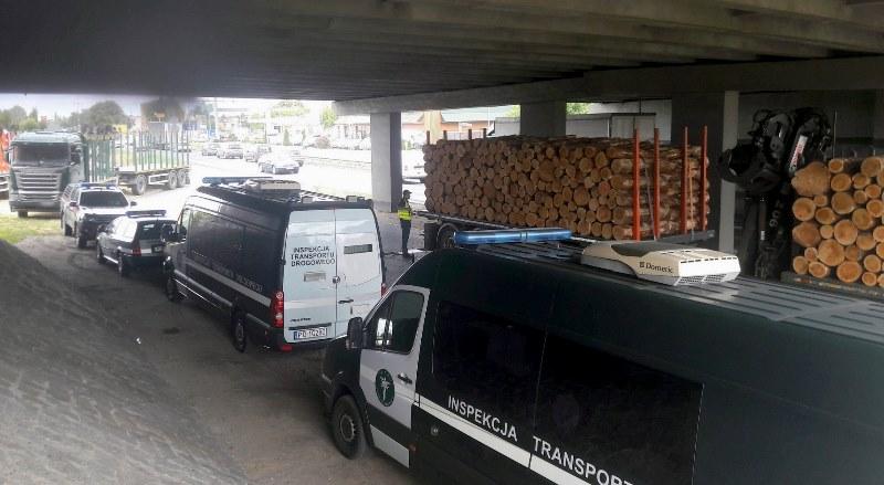 Radiowozy i ciężarówka z drewnem