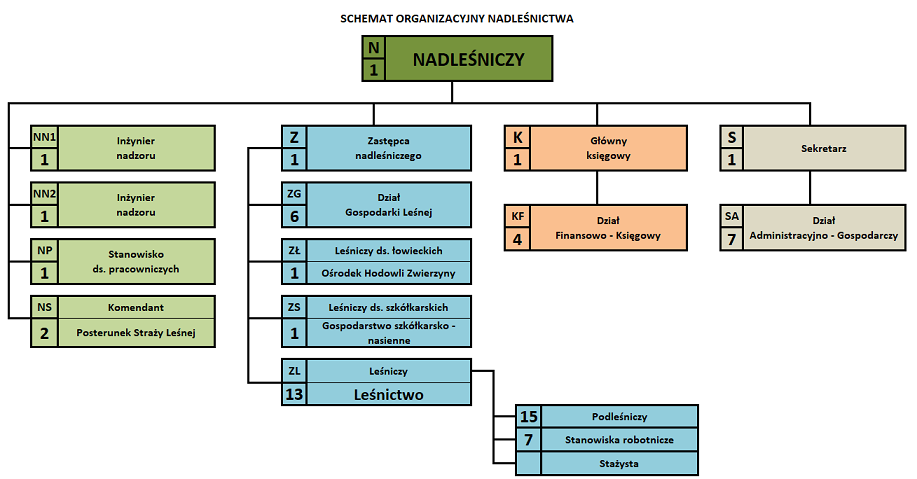 Schemat organizacyjny Nadleśnictwa Czerwony Dwór