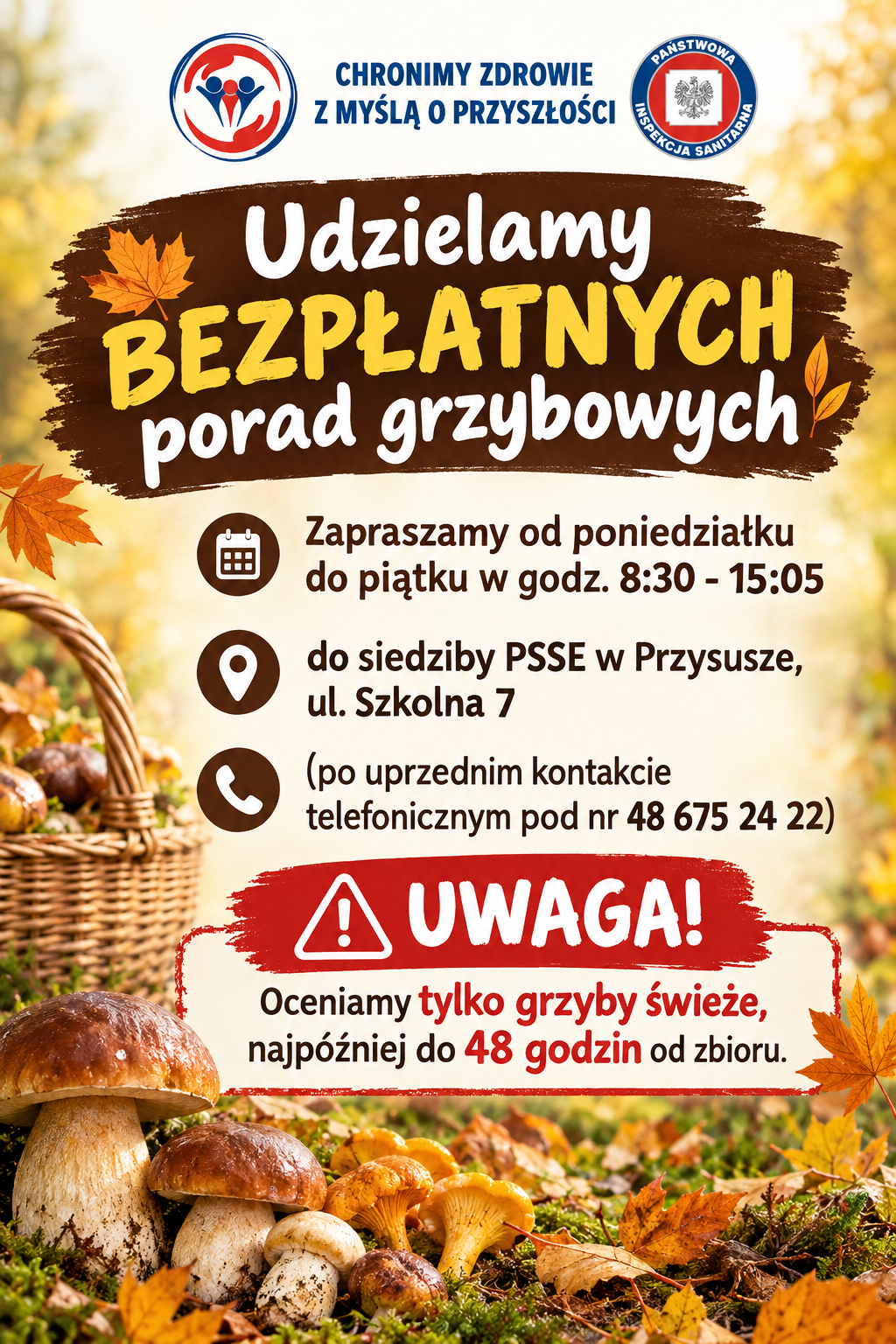 Porady Grzybowe