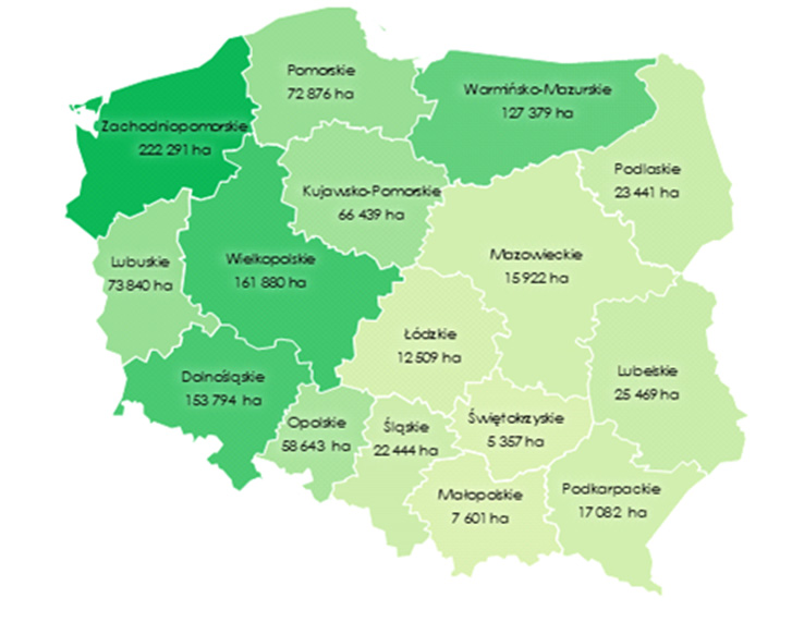 Rys. 1. Powierzchnia gruntów Zasobu WRSP pozostająca w dzierżawie wg stanu na 30 czerwca 2025 r., wg województw (w ha) 