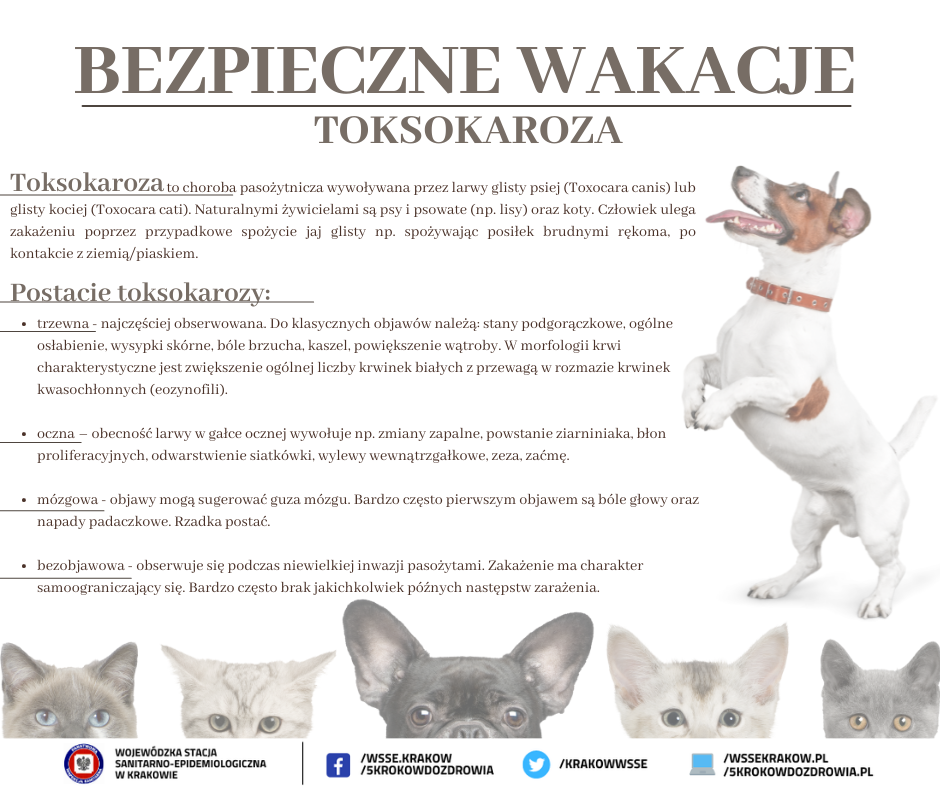 toksoraroza1