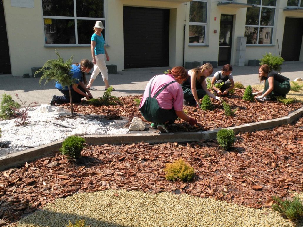 ZIELONY ZAKĄTEK – OD PROJEKTU PO EFEKT KOŃCOWY