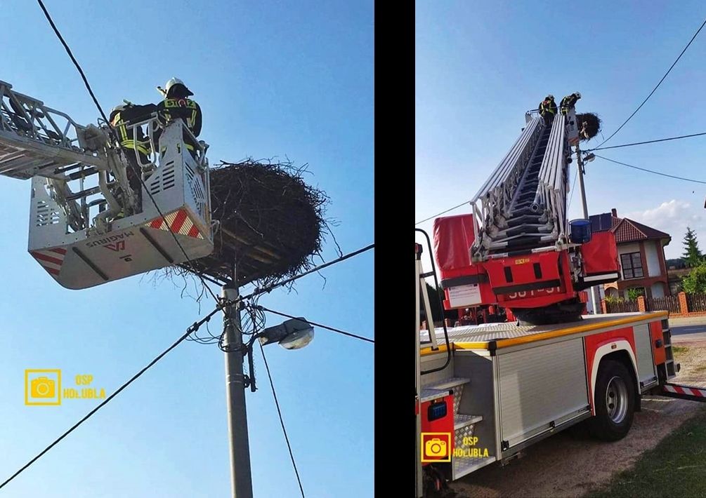 2021-07-19 - Paprotnia, fot. OSP Hołubla 