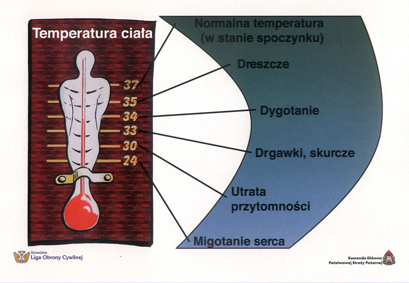 Zdjęcie przedstawia jakie objawy występują przy utracie ciepła i obniżeniu temperatury ciała. Są to między innymi: dreszcze, dygotanie, drgawki, utrata przytomności i migotanie serca.