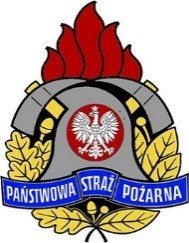 Logo PSP