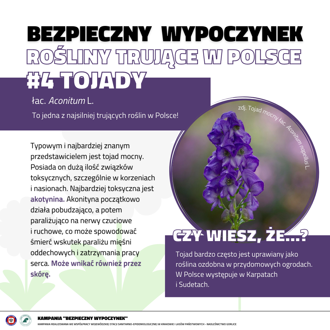 Rośliny trujące 4 TOJADY