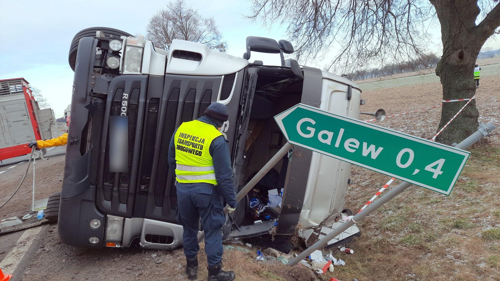 Inspektor stoi przed przewróconym na bok zestawem ciężarowym.