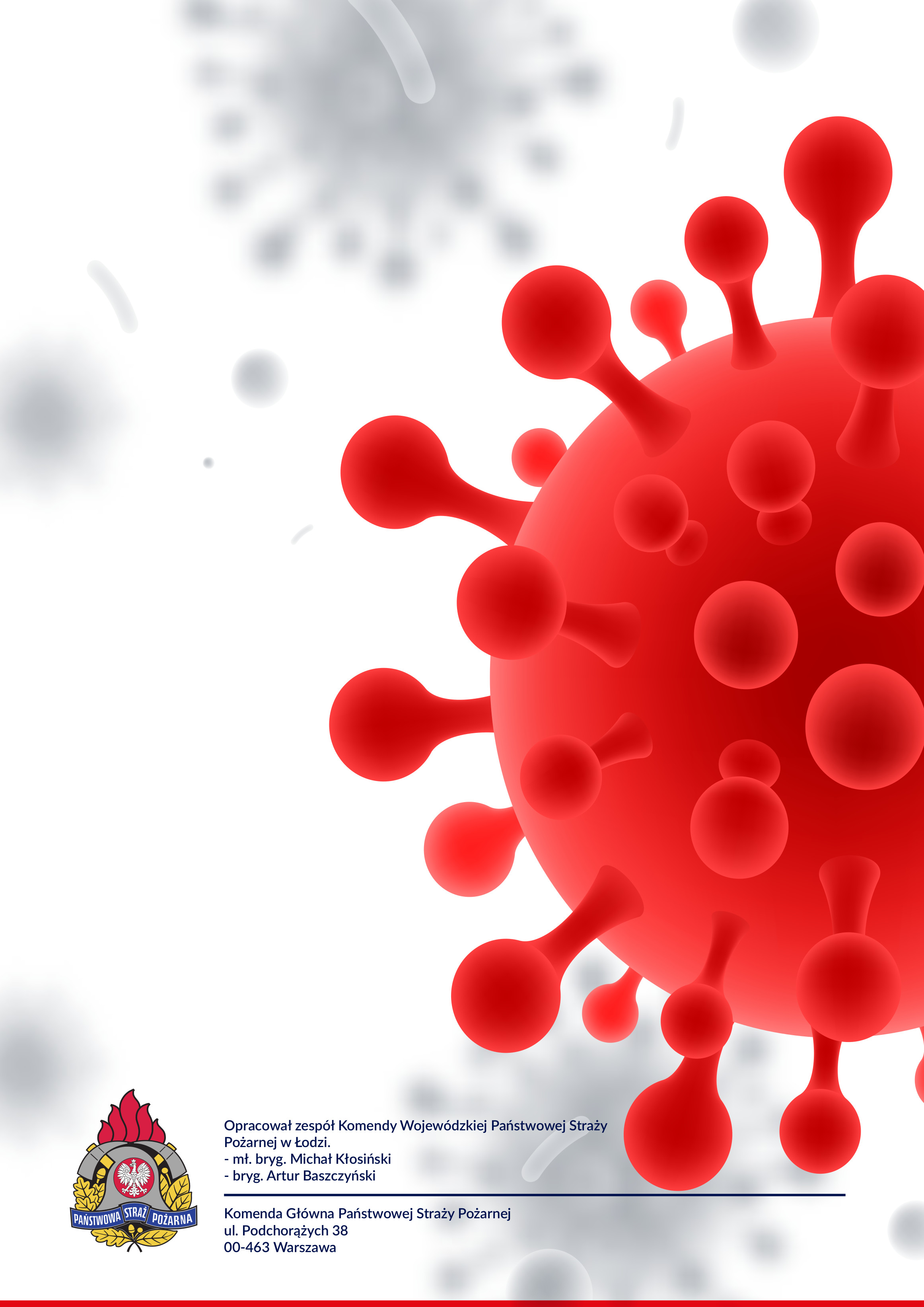 Wytyczne w zakresie transportu pacjentów do punktów szczepień jak i personelu medycznego do pacjentów.