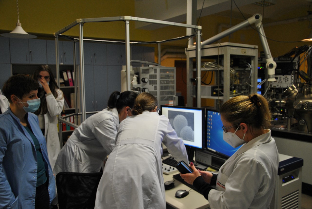 Analiza morfologii próbki przy pomocy skaningowego mikroskopu elektronowego.