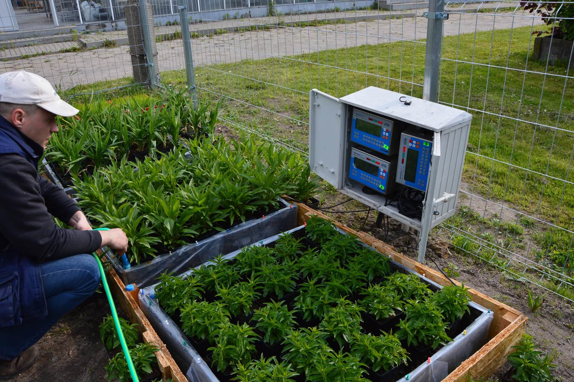 Rośliny w doniczkach z oprzyrządowaniem, doglądane przez mężczyznę