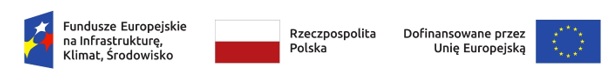 Logo FEnIKS, RP, UE