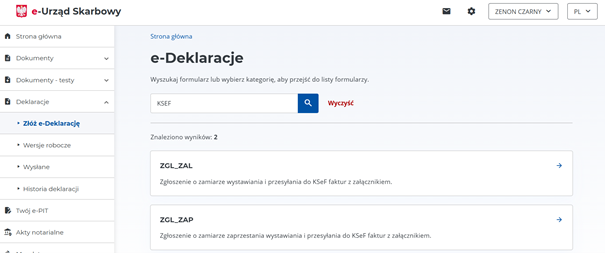 screen ekrany portalu e-US