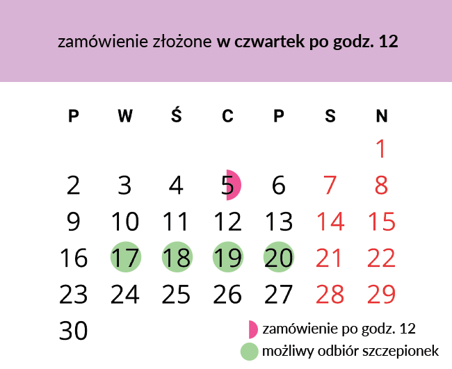 kalendarz z zaznaczonymi dniami, w którym możliwy jest odbiór szczepionek