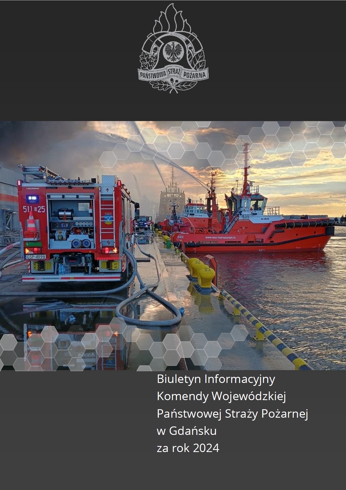 Biuletyn informacyjny KW za 2024 rok