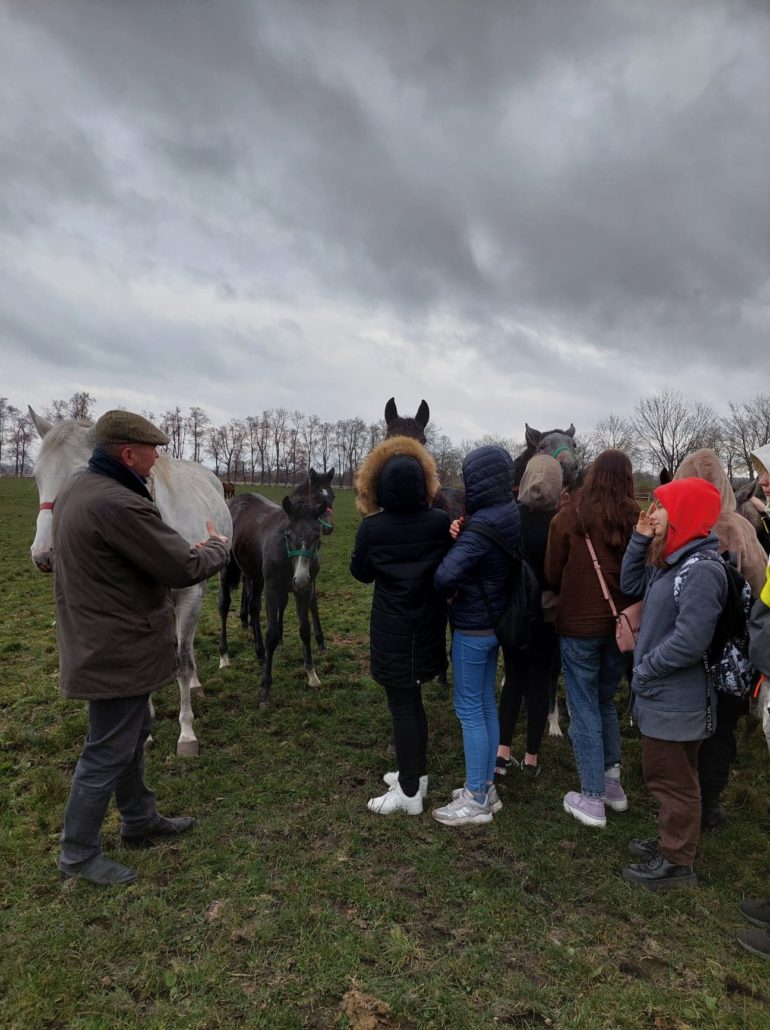 Zajęcia w Stadninie Koni w Walewicach