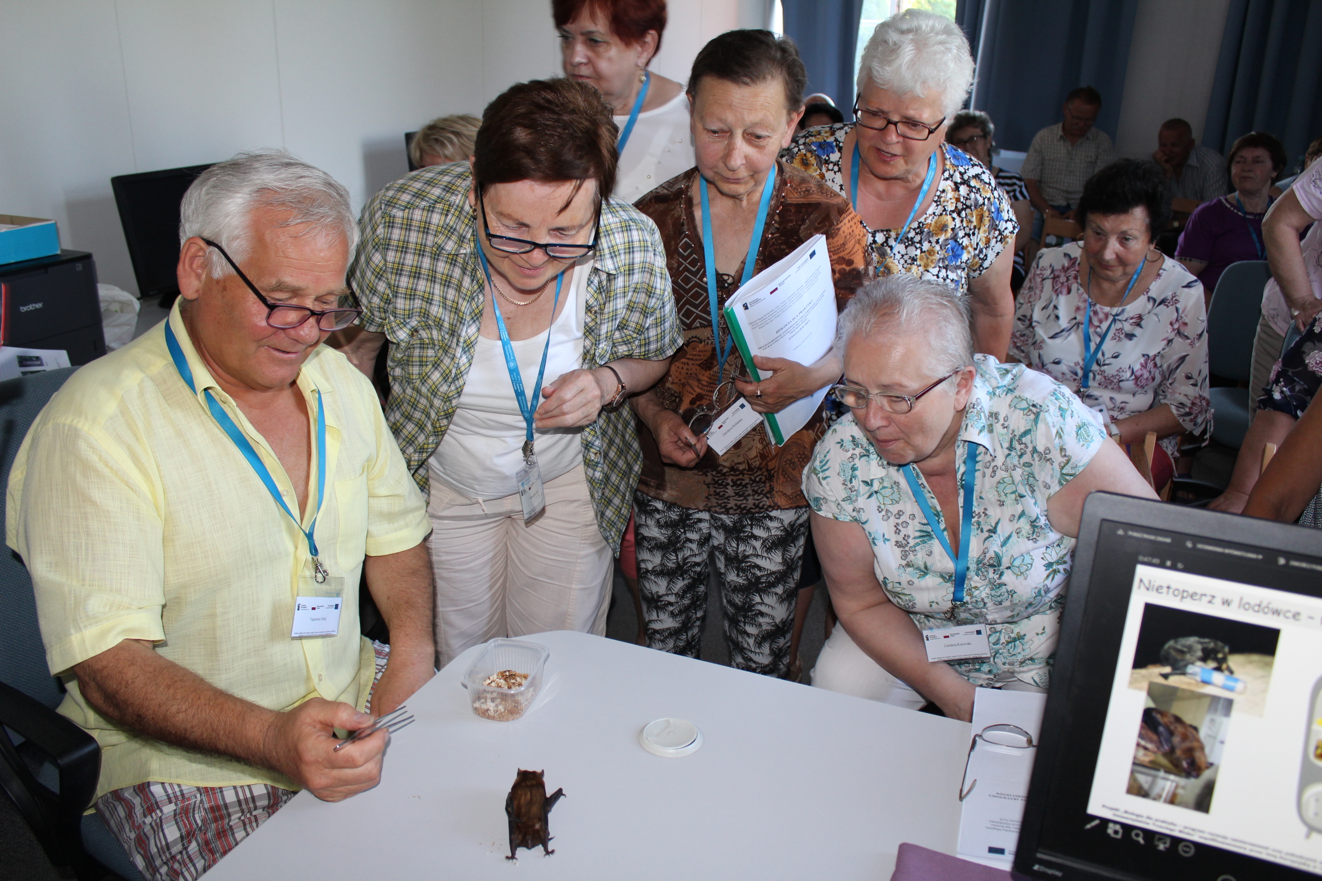 Nie takie nietoperze straszne… – zajęcia „Tajemnicze rękoskrzydłe. Dlaczego warto chronić nietoperze?” prowadzone przez dr Iwonę Gottfried