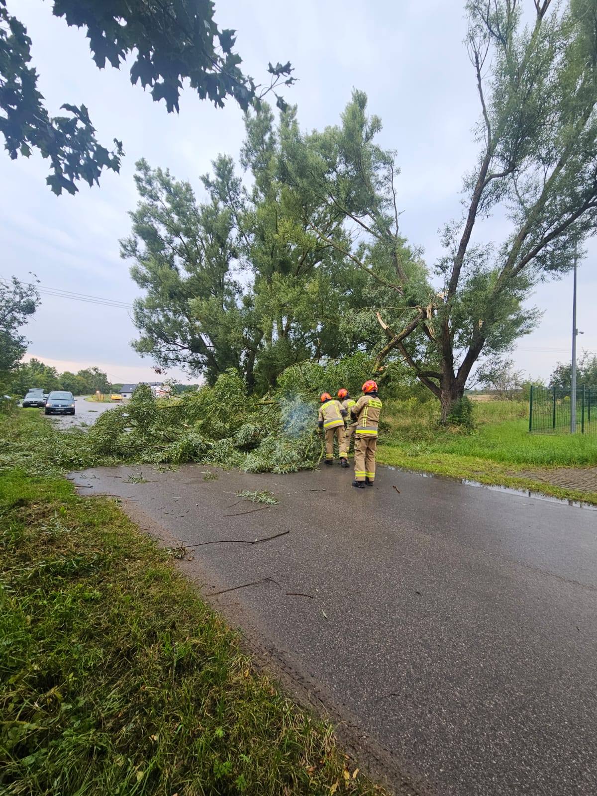 Silny wiatr oraz gwałtowne opady atmosferyczne