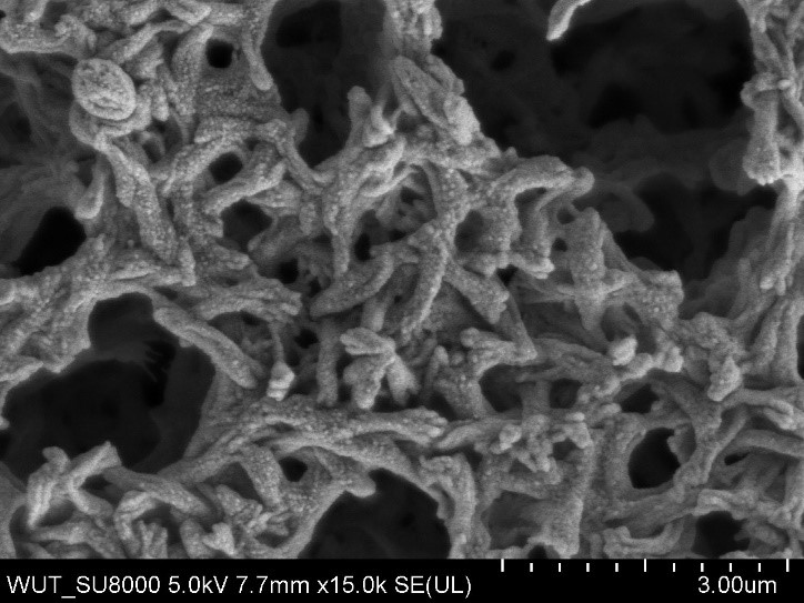 Fig.3. Membrane structure with deposited TiO2+AgO coating