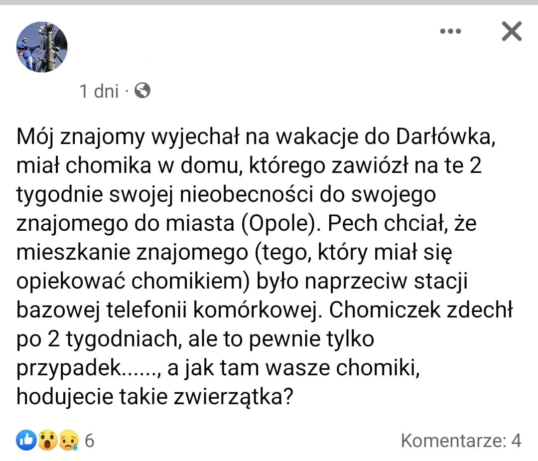 Zrzut ekranu z wpisu na Facebook'u z informacją o chomiku, który zdechł z sugestią, że to na pewno przez wieżę sieci telefonii komórkowej stojącej niedaleko mieszkania, w którym był trzymany.