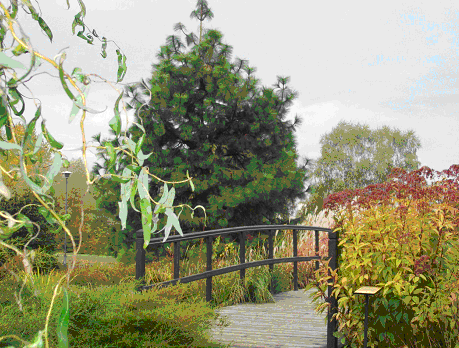 Jesień jest piękna