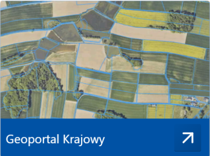 zrzut ekranu ze strony www.geoportal.gov.pl przedstawiający kafelek "Geoportal Krajowy"