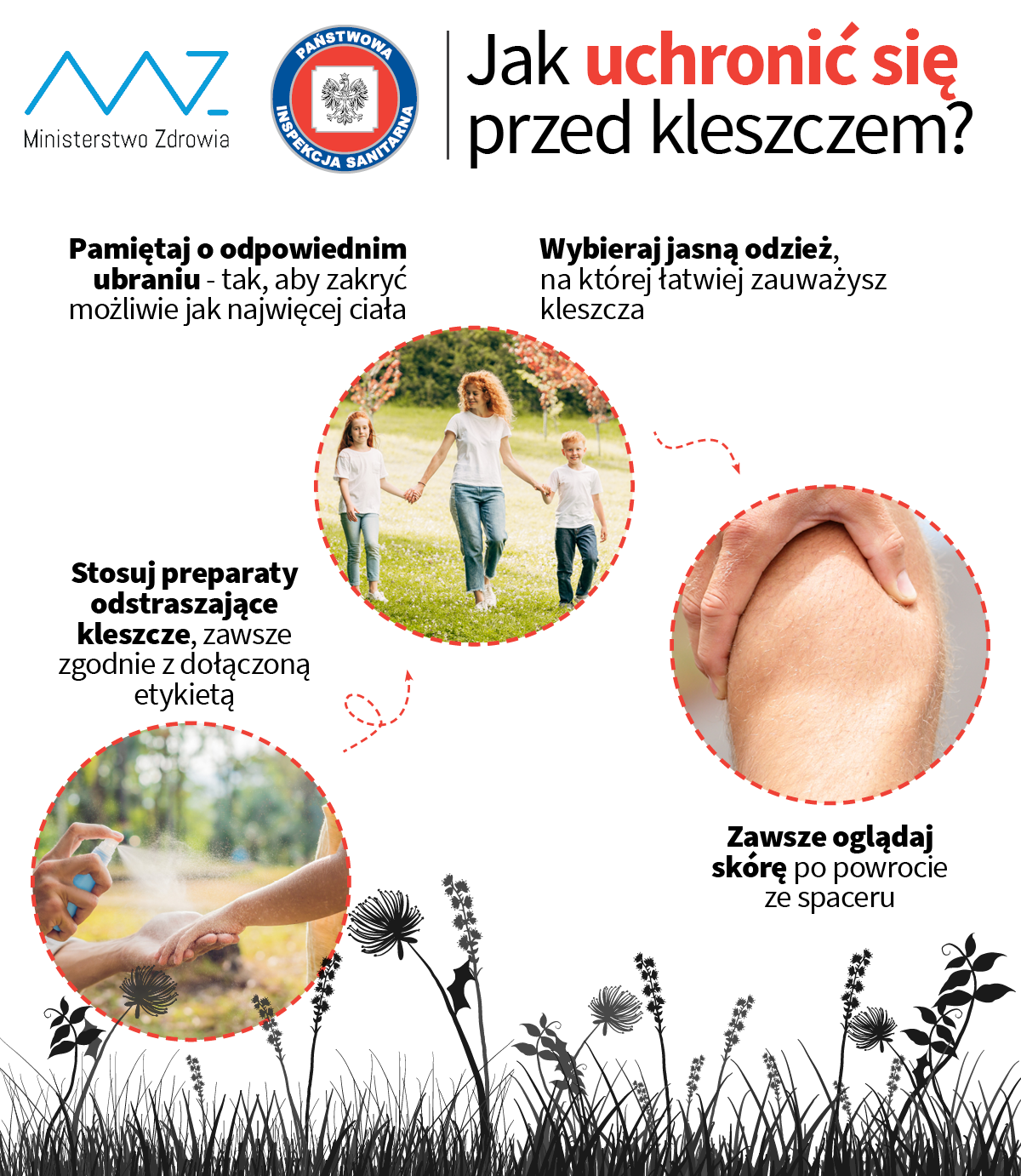 kleszcze3