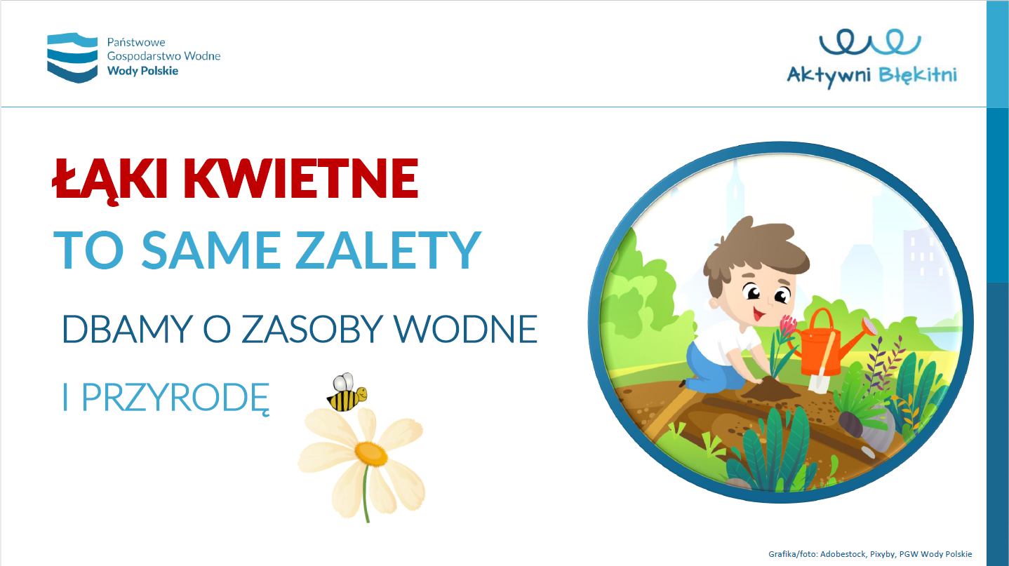Kwietne łąki to same zalety