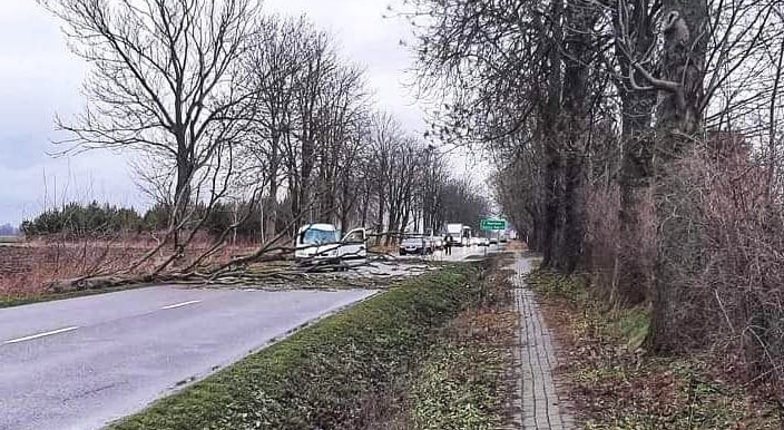 17 stycznia 2022 roku w miejscowości Golice (gm. Siedlce) w wyniku silnego wiatru doszło do zderzenia samochodu osobowego z przewracającym się przydrożnym drzewem. 