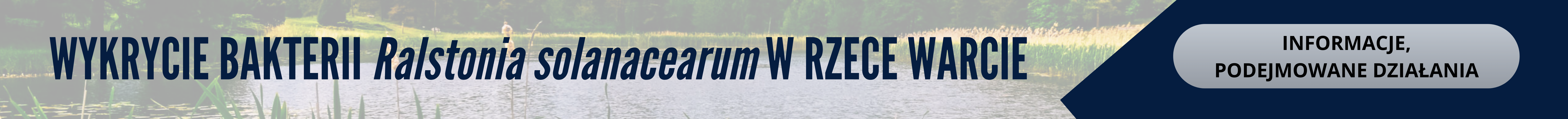 Ralstonia solanacearum