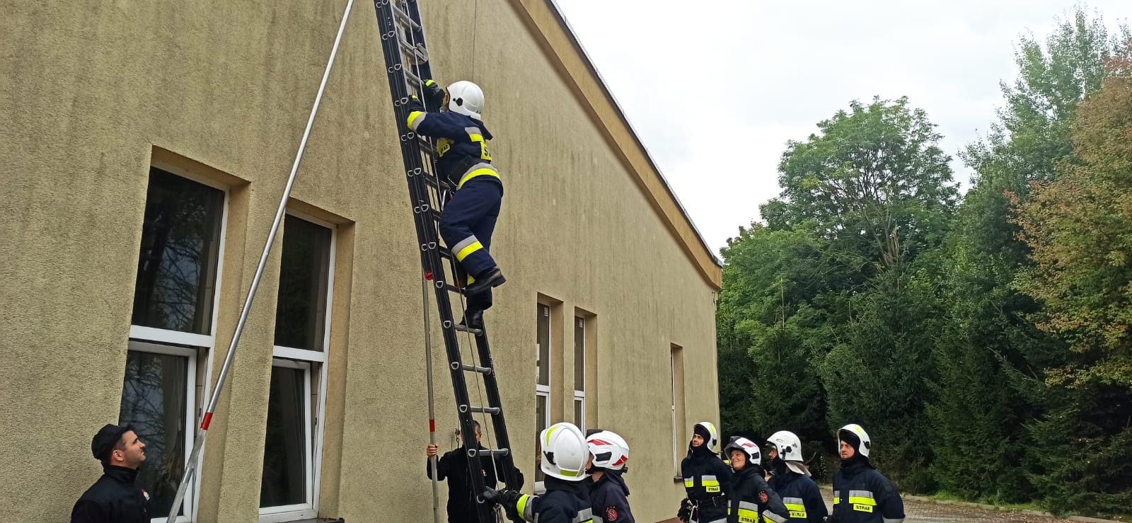 Sprawianie drabiny D10W