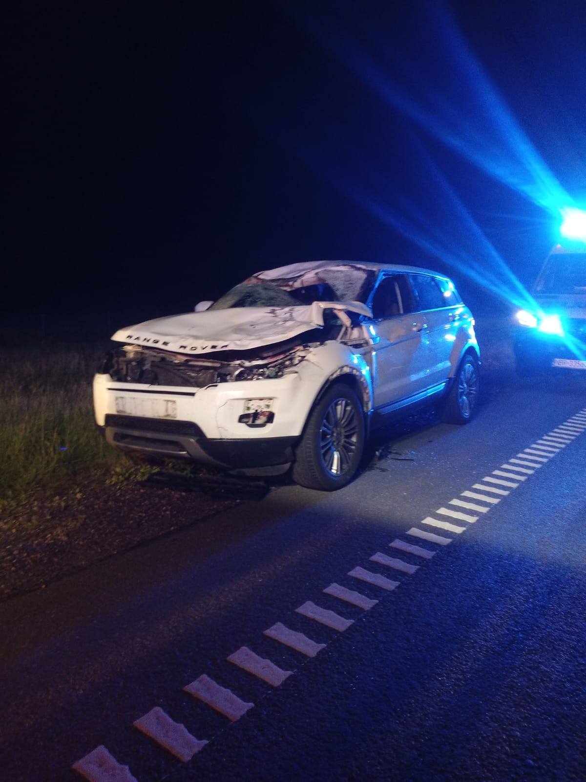 Zderzenie osobówki z łosiem na S 22