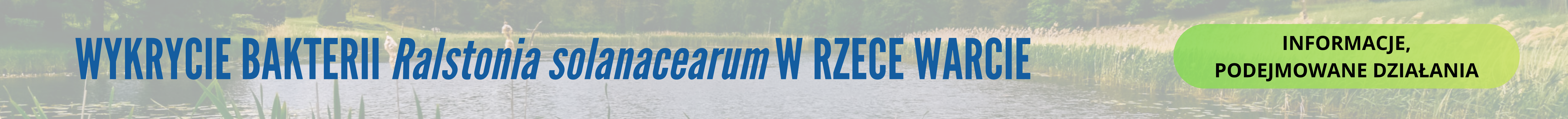 Wykrycie bakterii Ralstonia solanacearum w rzece Warcie