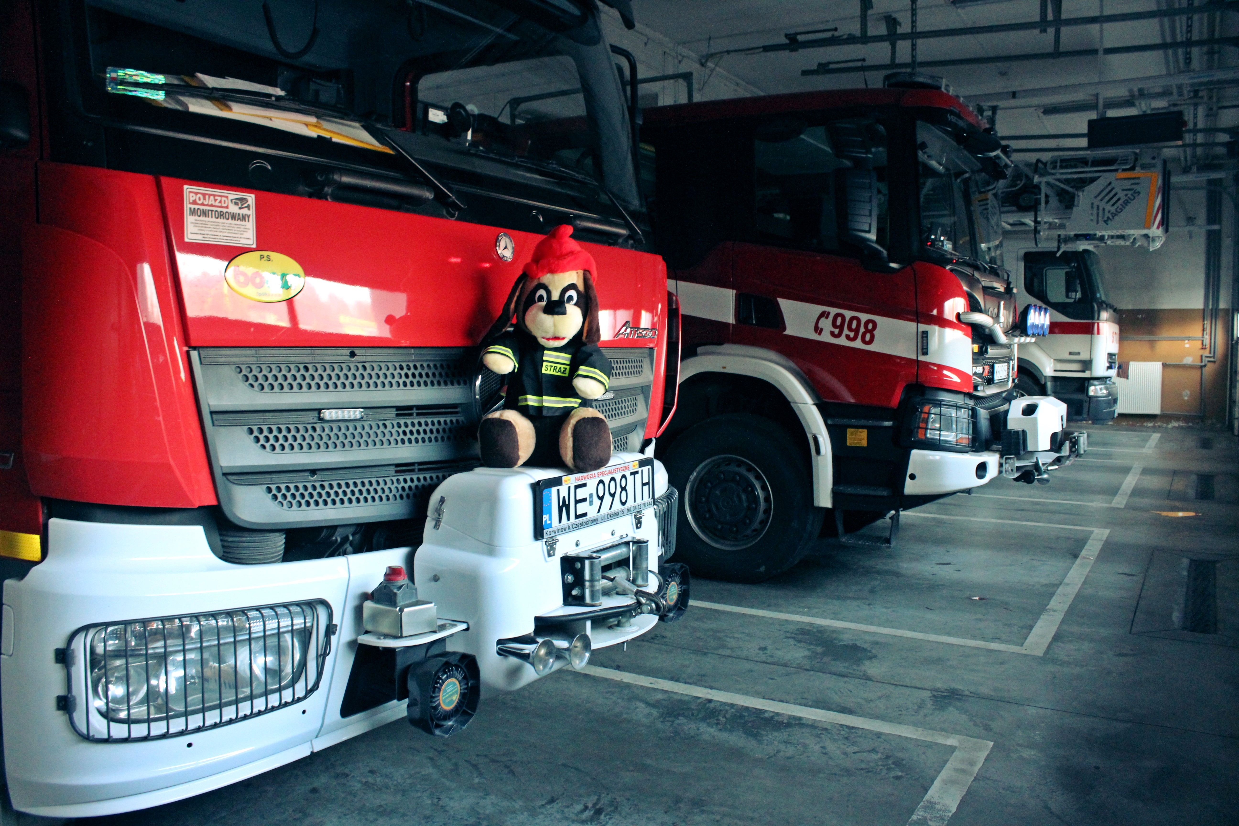 Światowy Dzień Pluszowego Misia, fot. Daria Lipińska 