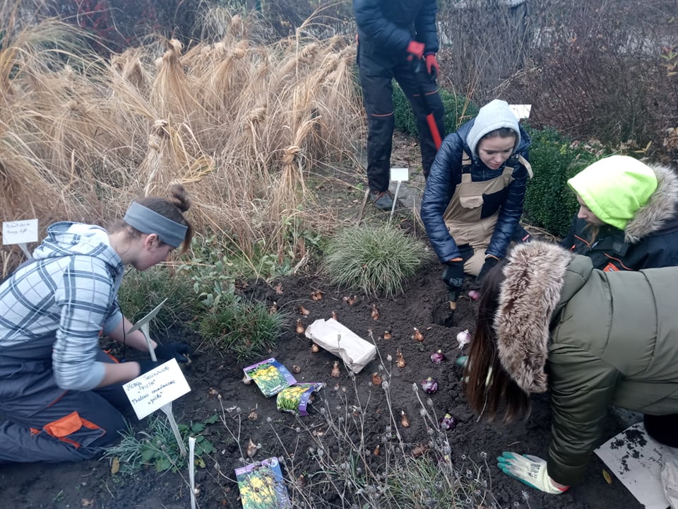 UCZNIOWIE TECHNIKUM ARCHITEKTURY KRAJOBRAZU POSADZILI CEBULKI ROŚLIN W PRZYSZKOLNYM OGRÓDKU DYDAKTYCZNYM