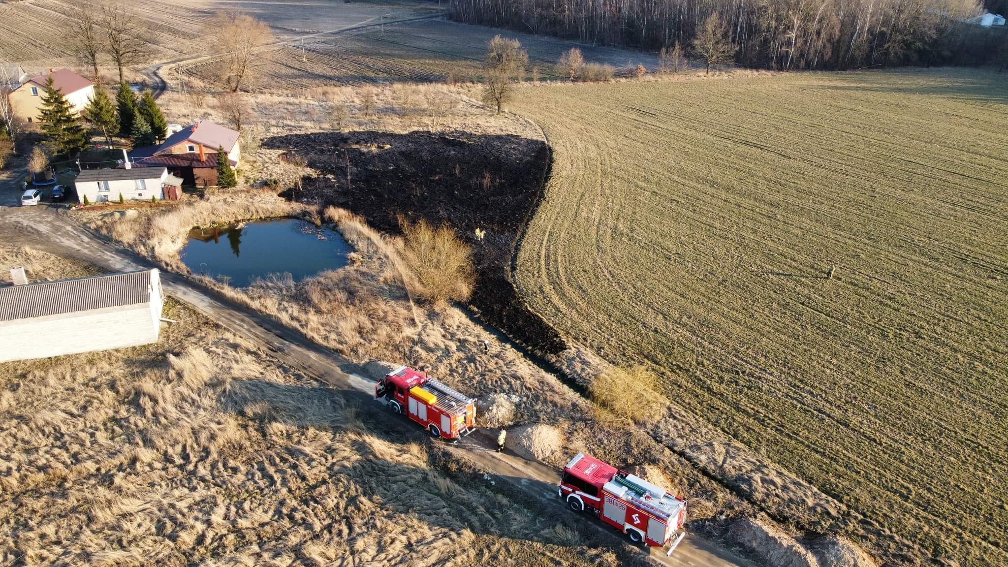 Na zdjęciu z drona pogorzelisko po pożarze traw blisko lasu i zabudowań.