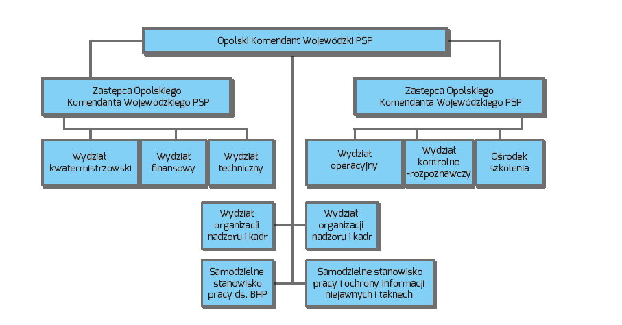 Zdjęcie przedstawia schemat struktury organizacyjnej KW PSP w Opolu na dzień 31 grudnia 2011 r.