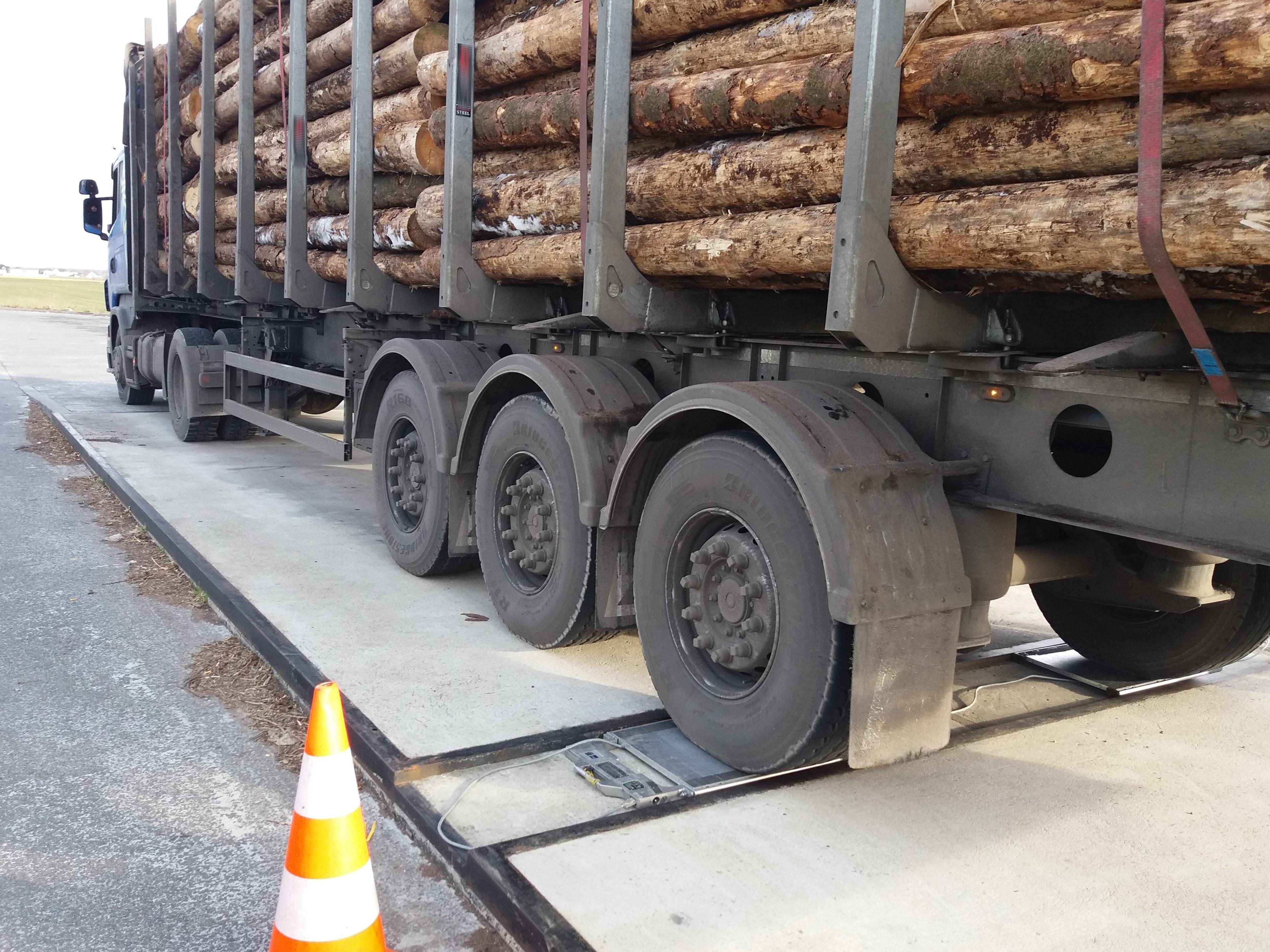 Inspektorzy skierowali na wagę ciężarówki z drewnem.