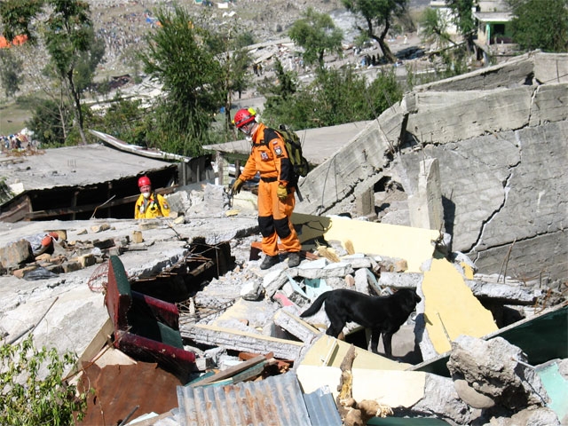 Dwóch strażaków i pies na gruzach podczas akcji ratowniczej po trzęsieniu ziemi w Pakistanie.
