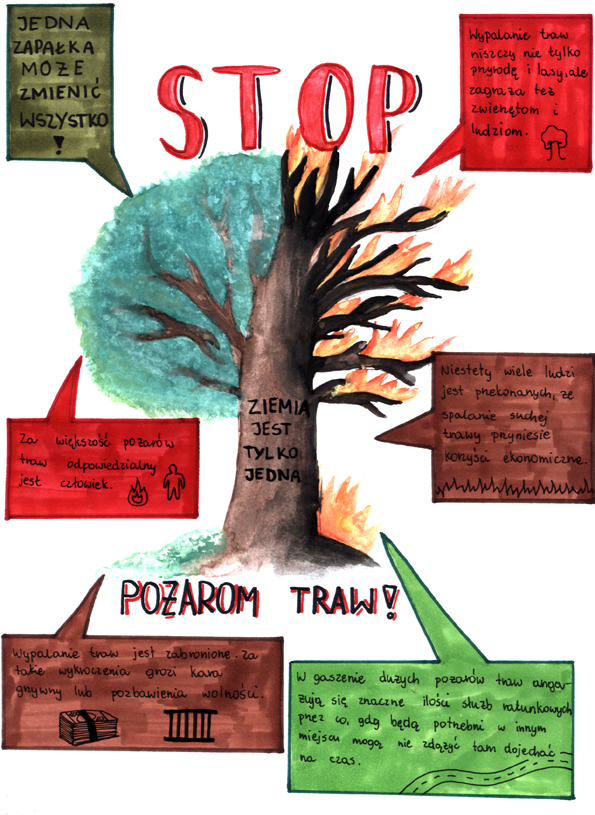 Emilia Podfigórna – Szkoła Podstawowa z Oddziałami Integracyjnymi z Starym Jaworowie – 3 miejsce - Indywidualny Konkurs „Projekt Infografiki”