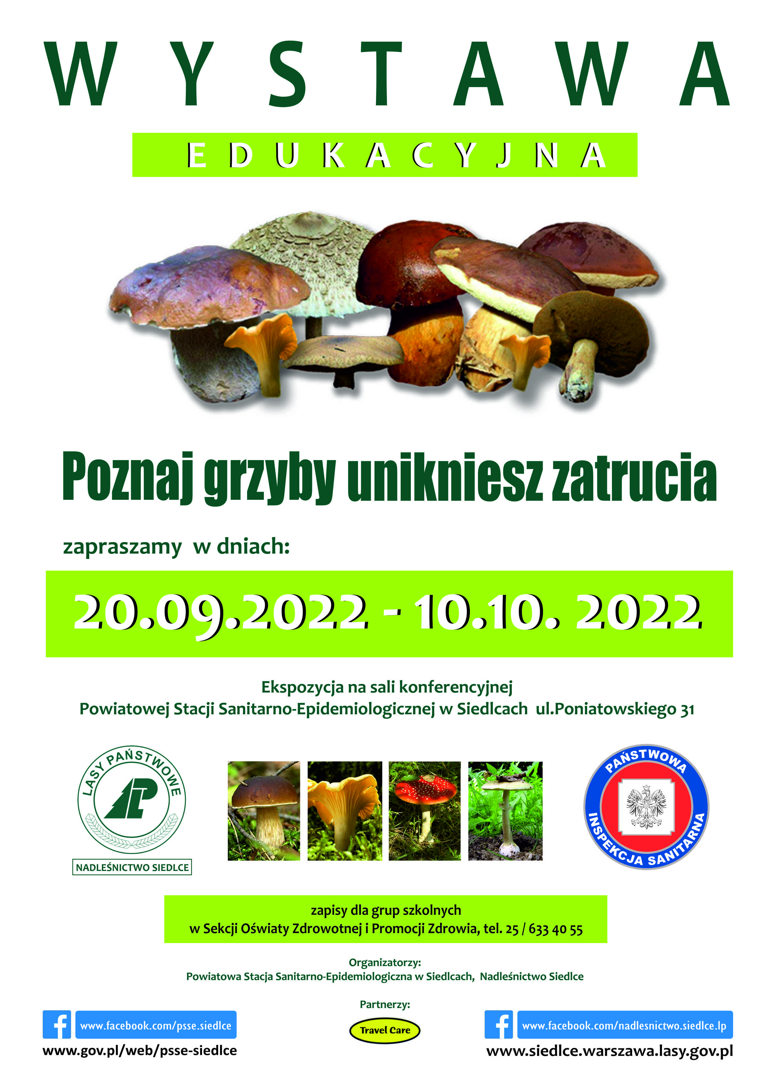 Wystawa grzybów plakat