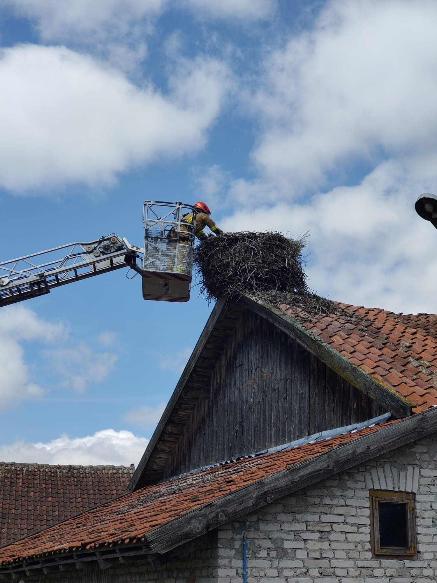 Bocian wypadł z gniazda. Pomogli mu strażacy