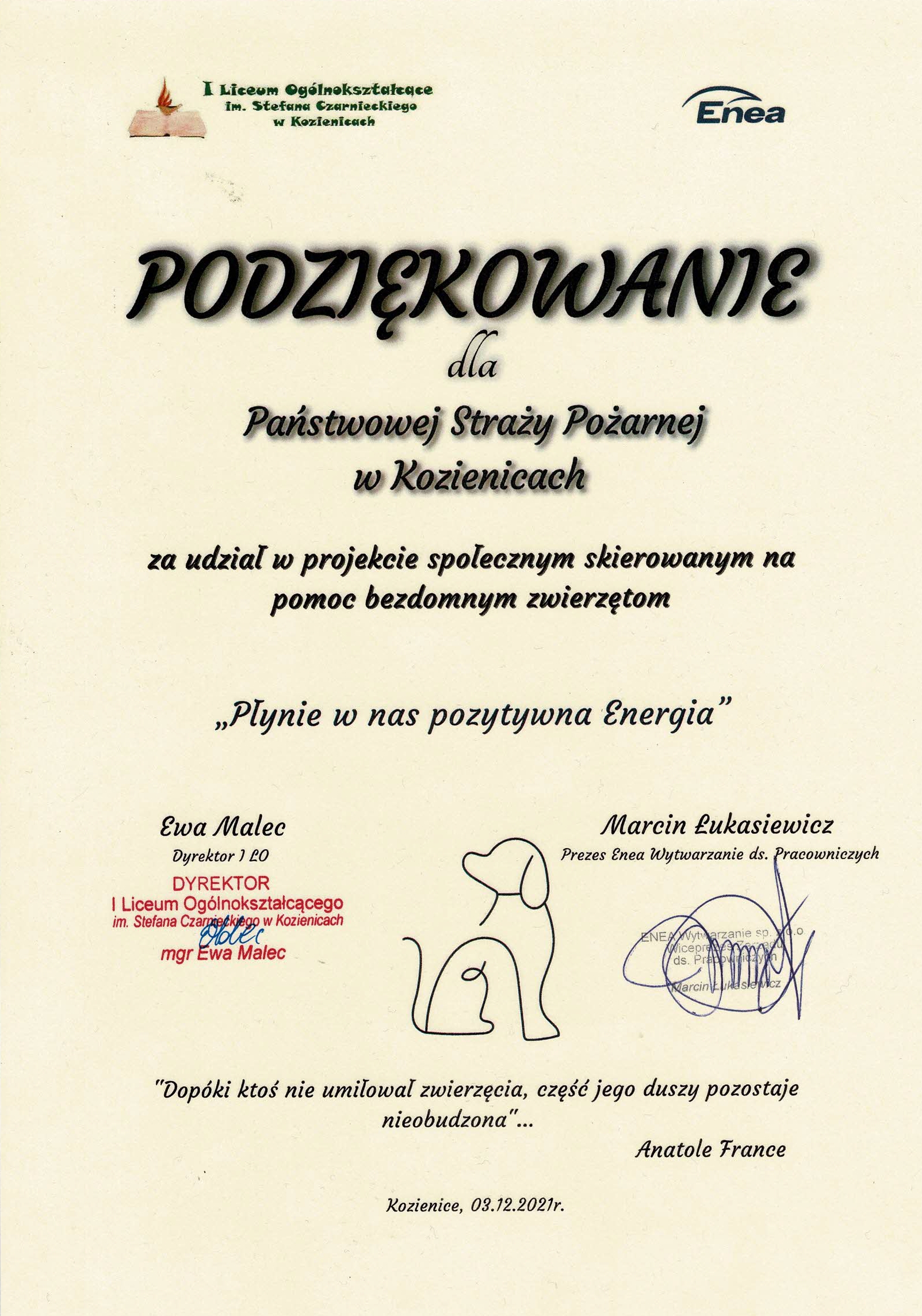 podziekowanie za udzial w akcji